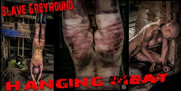 Slave Greyhound - Hanging Meat - 2020 - FullHD