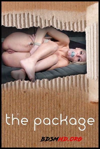 The Package - Kenzie Taylor - 2020 - HD
