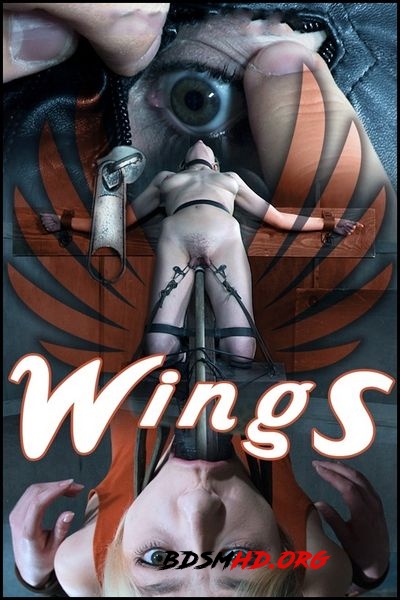 Wings - Sailor Luna - 2020 - HD