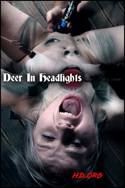 Deer In Headlights - Bambi Belle - 2020 - HD