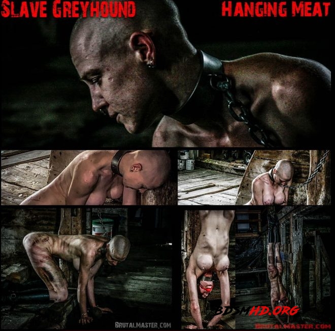 Brutal Master Hanging Meat: Slave Greyhound - 2019 - FullHD