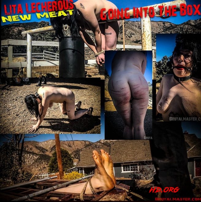 New Meat – Going Into The Box - Brutal Master LIta Lecherous - 2019 - FullHD