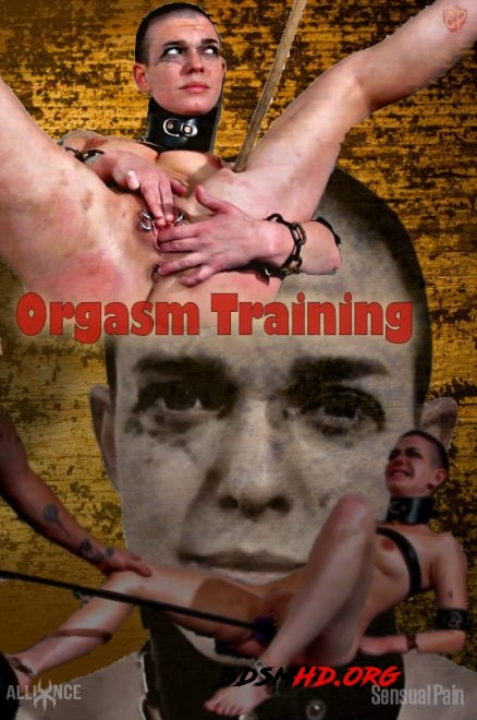 Orgasm Training - SENSUAL PAIN - 2019 - HD
