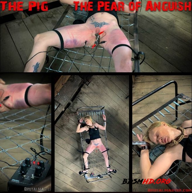 The Pig – The Pear Of Anguish - Brutal Master - 2019 - FullHD