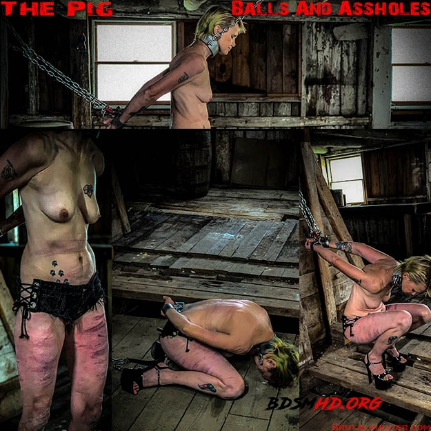 The Pig – Balls And Assholes - BrutalMaster - 2020 - FullHD