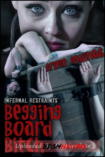 Begging Board Bitch - Arielle Aquinas - 2020 - HD