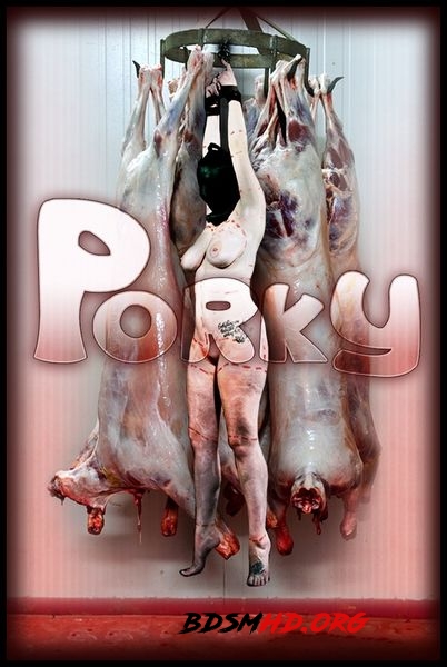 Porky - Samsara - 2020 - HD