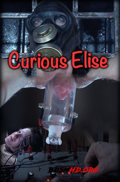 CURIOUS ELISE BONUS - 2020 - HD
