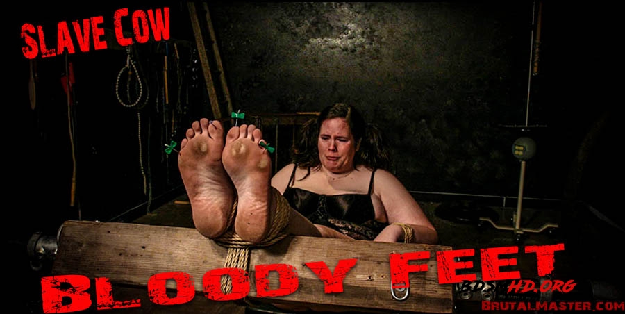 Slave Cow - Bloody Feet - BrutalMaster - 2020 - FullHD