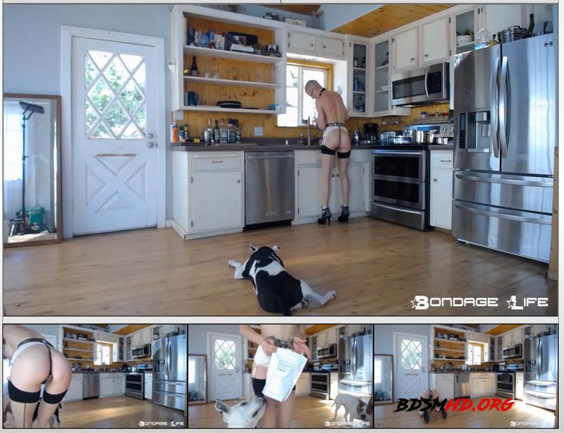 Domestic Service - Rachel Greyhound - Bondage Life - 2020 - HD