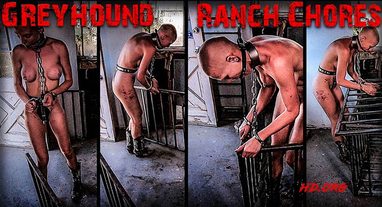 18 Ranch Chores - Greyhound - BrutalMaster - 2020 - FullHD