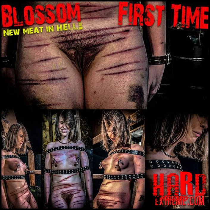 NEW MEAT Blossom First Time (Chapter One) - BrutalMaster - 2021 - FullHD
